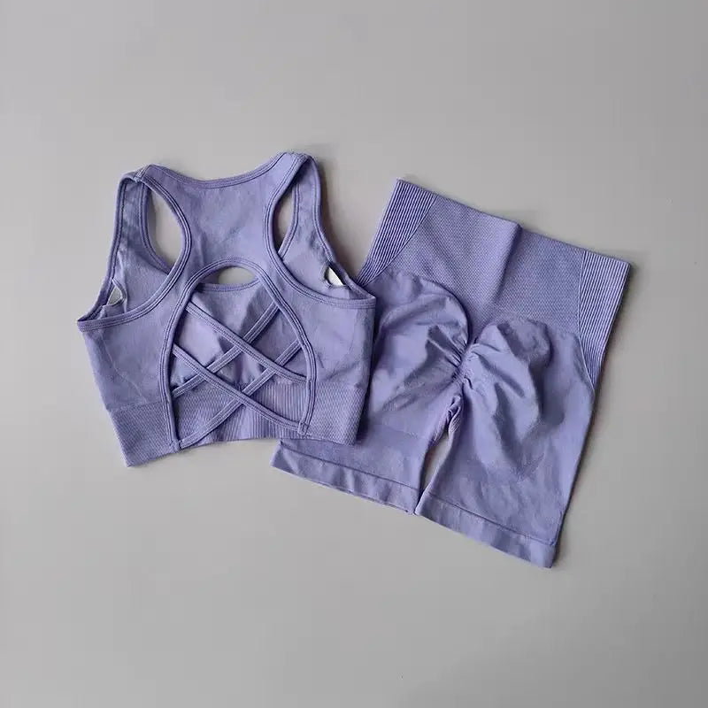 Conjunto deportivo seamless 2 piezas para mujer – top y shorts de cintura alta para yoga y fitness